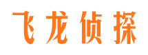 理塘侦探公司